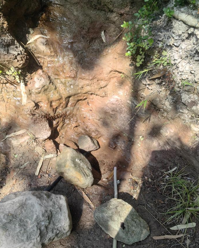 當地河流缺水干涸。留言網友供圖